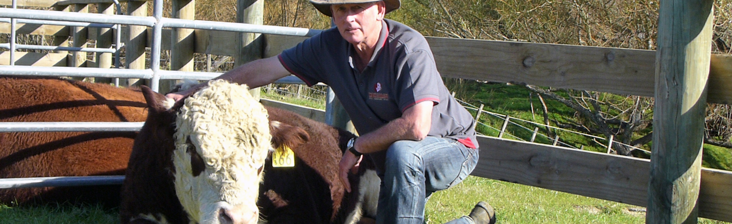 ON FARM AUCTION -  4 JUNE 2025